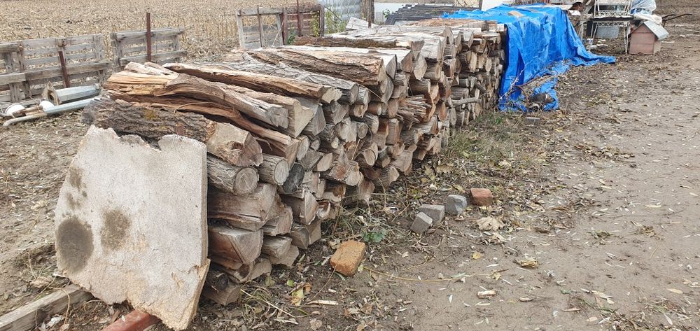 Vând lemne pentru foc