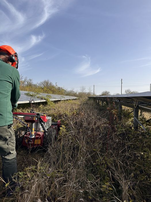 Почистване на дворове, парцели, овощни градини, солари с мулчер
