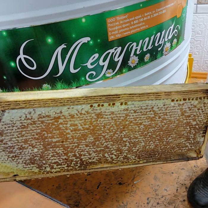 Полурамка. 2025 год