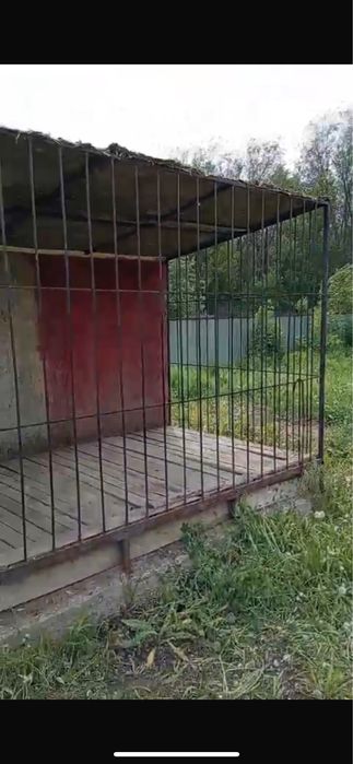 Варье для собаки большой