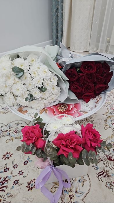 Продам цветы сегоднишные