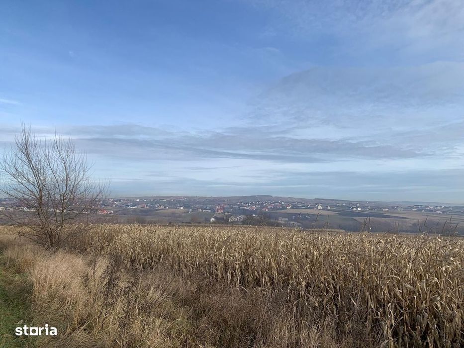 Teren intravilan de vânzare | Cajvana | 7.800 mp