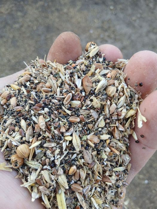 Продам  зерноотходы отруби зерносмесь  пшеница