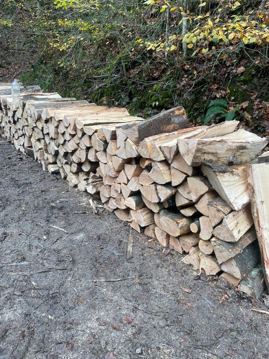 ‼️Lemne de foc esențe tarii[Fag,gorun,carpen,cer] la cele mai bun preț