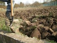 Мужчина на час для дома