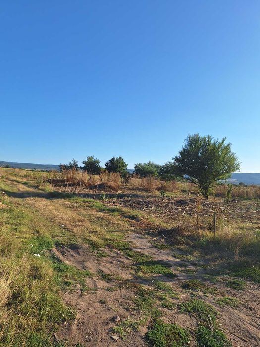 Имот с потенциал в село Лесново