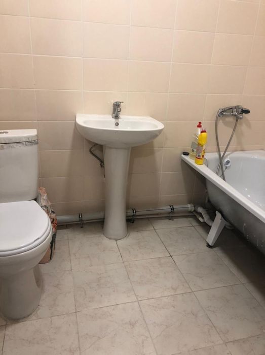 Раковина, тюльпан новые