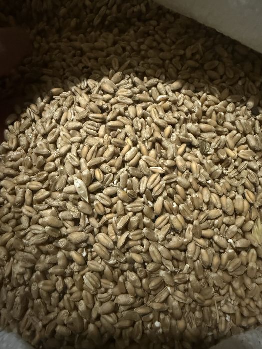 Huruiala pentru animale