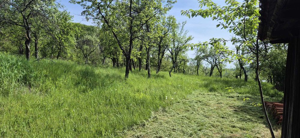 Se vinde teren situat într-o zonă liniștită, cu o suprafață de 3450 mp, include și o casa bătrânească (se poate vinde si partial din teren).