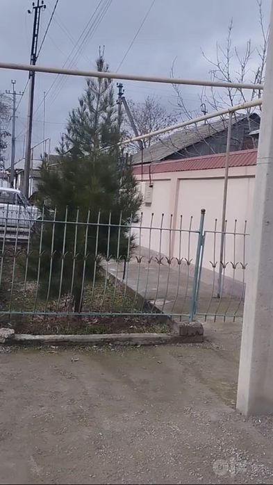 Сирдарё туманида 7 сотихли уй — яхши жойлашувда!