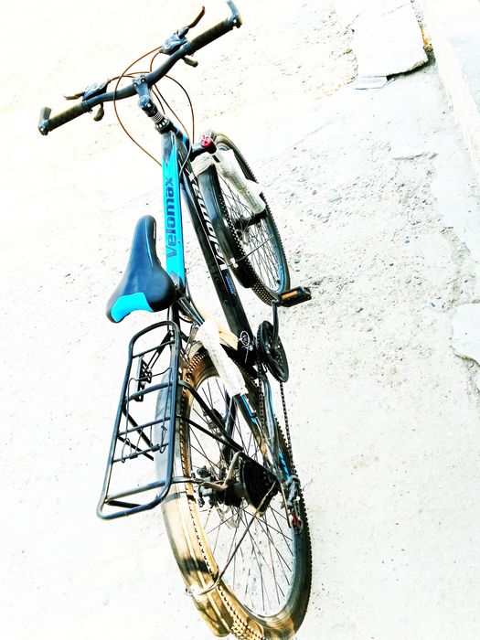 Daraxt kafolati bilan