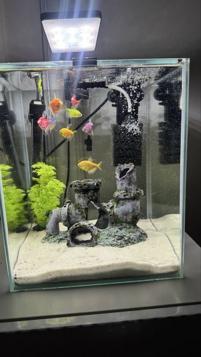 Аквариум готовый 20 л с рыбками