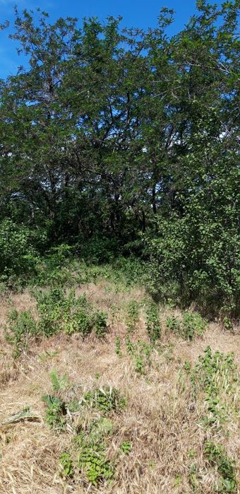 LOC De casă cu utilități