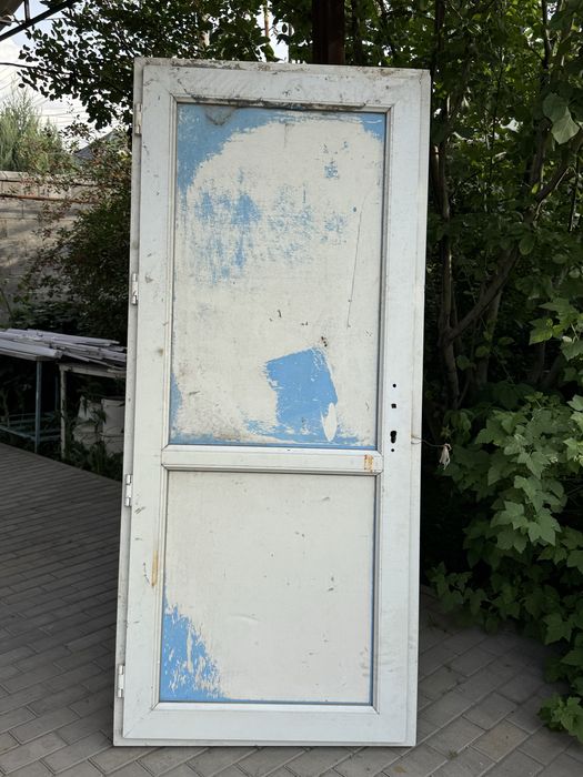 Пластиковая дверь