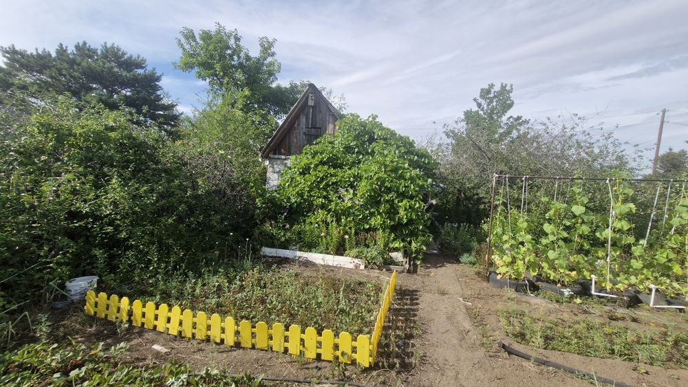 продам дачу в садоводстве Северный