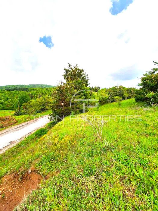 Продава се Парцел в Асеновград - 4700 кв.м за 24 €/кв.м - Снимка #1