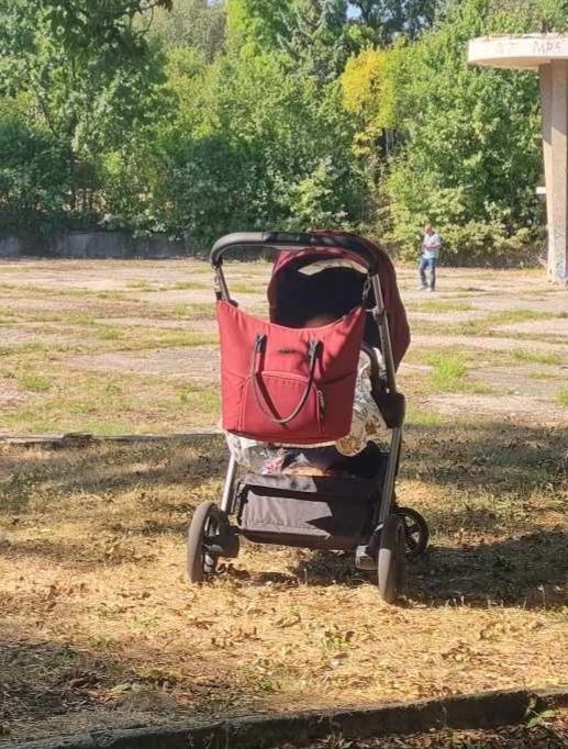 Бебешка количка 2в1 Espiro Only, цвят бордо