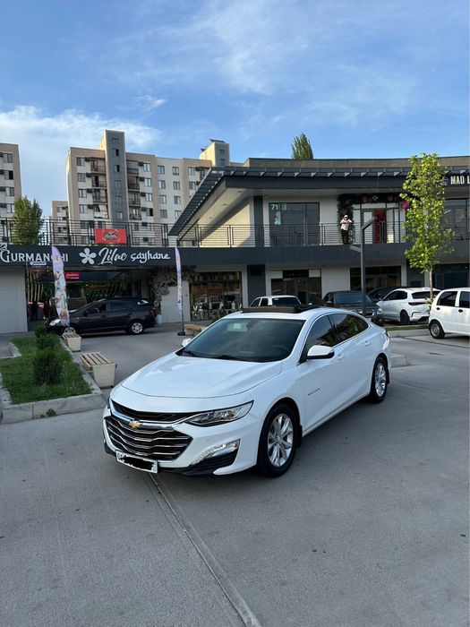 Malibu primer 2021 yil