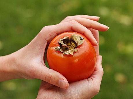 Pomi Exotici (Kaki Toate Soiurile Disponibile )