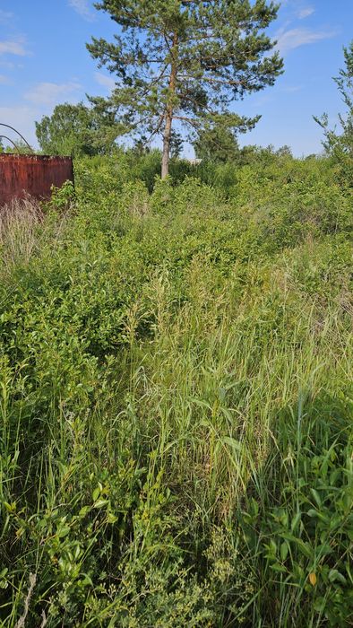 Продам дачный участок Автомобилист