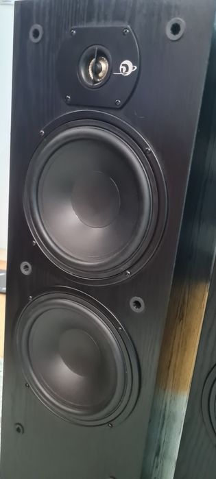 Boxe Dynalab Signature Reference