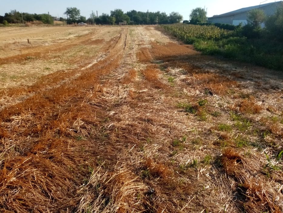 Vând Teren - Zona Giurgiu - Schitu