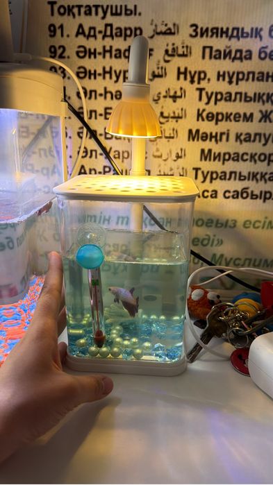 Продам аквариум вместе с рыбкой