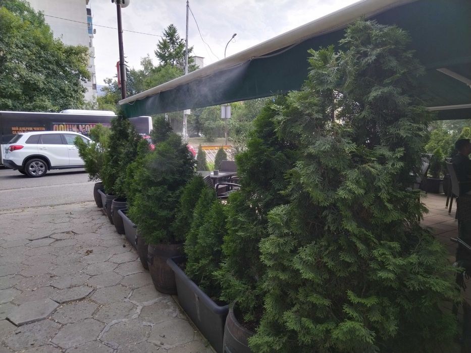 Продава се Заведение в София, Младост 2 - 20 кв.м за 550 €/кв.м - Снимка #1