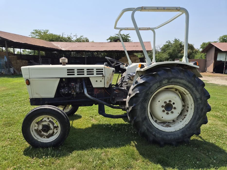 Tractor Same Lamborghini 603