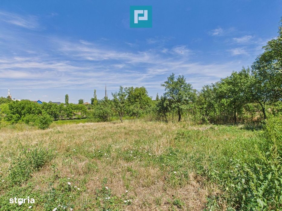 Teren 4919 mp– Comuna Călacea