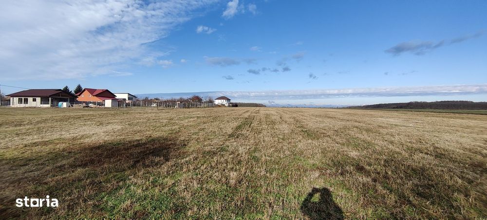 Teren 618 mp pentru construit casa - Gagu (Dascalu) - 23 euro/mp