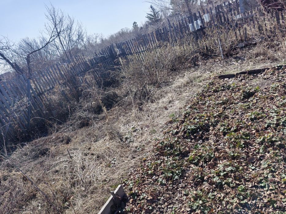 Продам дачу в Павлодаре