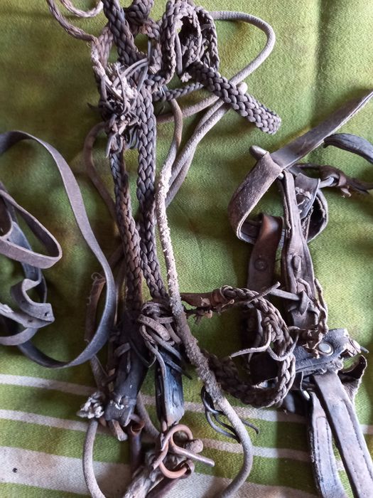 Конские сбруий-  Недоуздки