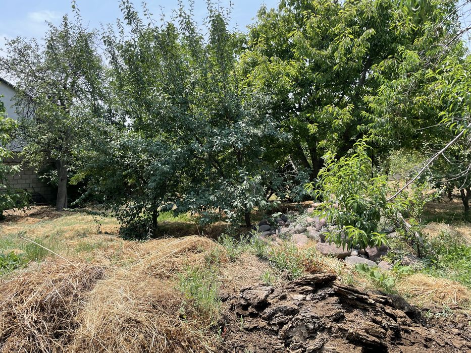 Oq toshda yer sotiladi