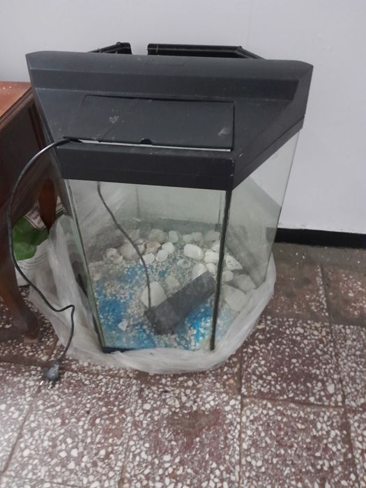 Acvariu hexagonal cu pompă de oxigen
