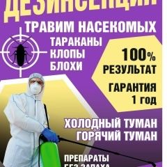 Дезинфекция клопы, термиты, тараканы, блохи