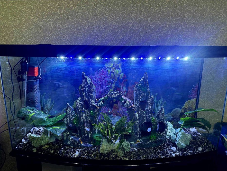 Продаётся аквариум 250 литров