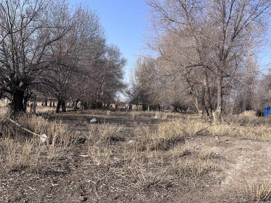 Продам дом в жаркенте
