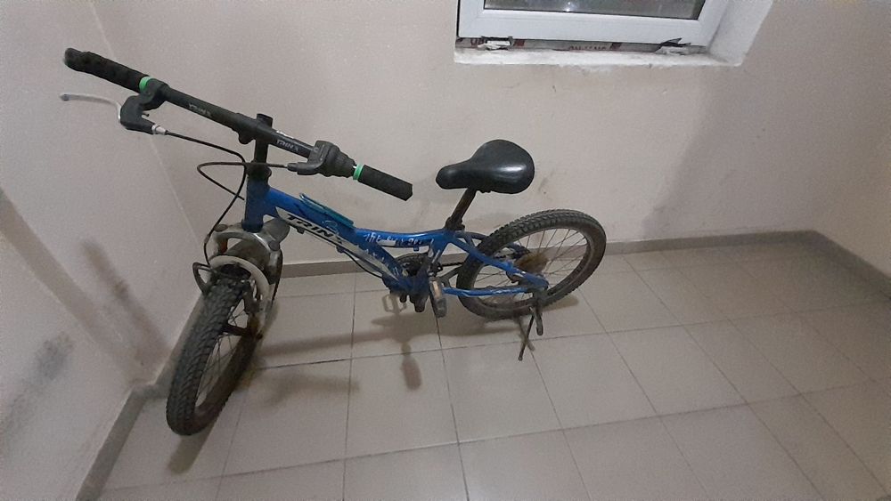 Айдалған велик сатылады