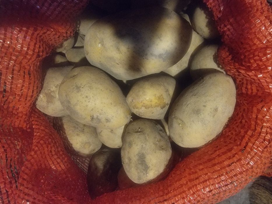Продам  кортофель