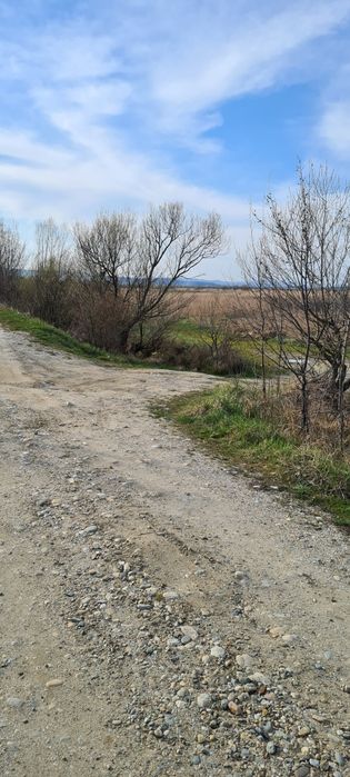 Teren de vânzare Budeasa Mare