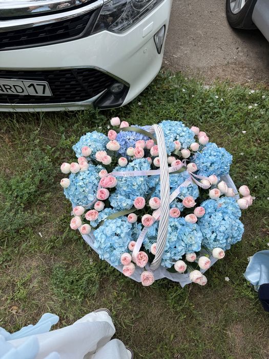 Цветы срочно продам