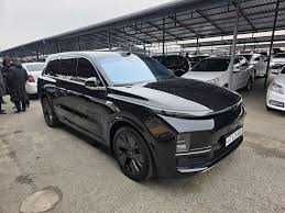 lixiang l9 pad zakaz