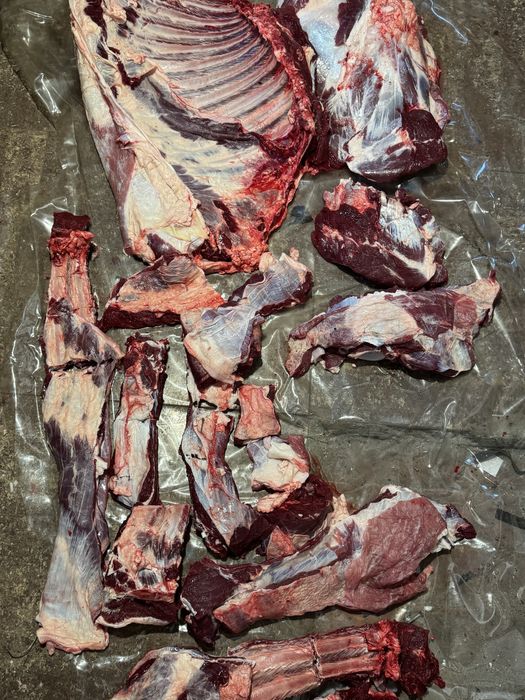 Свежее Молодое месо говядины