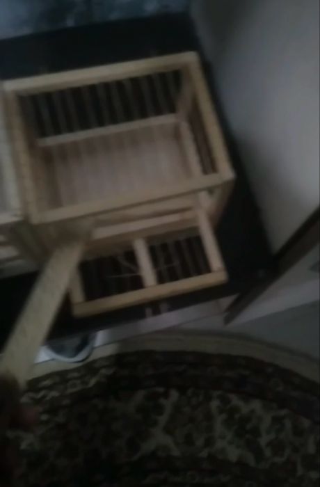 Клетки на ловли птиц