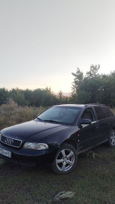 Продам или обмен подсос бычков