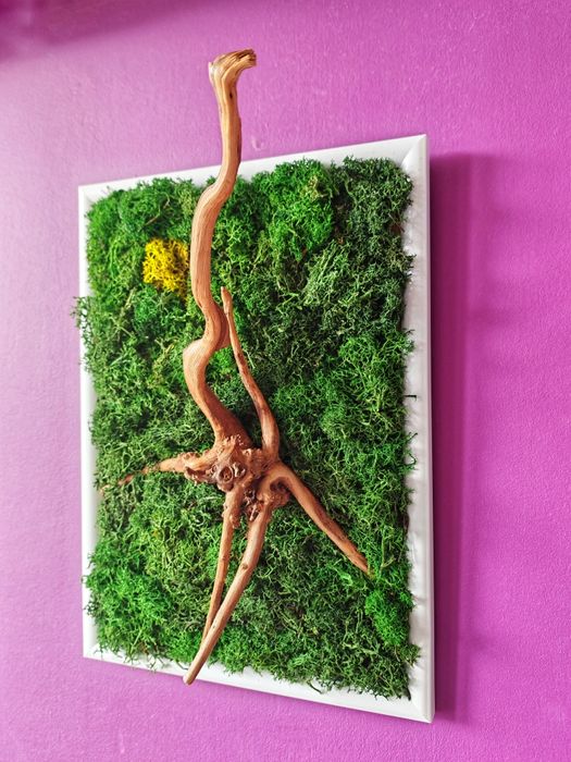 Картина от скандинавски мъх и корен от азалия