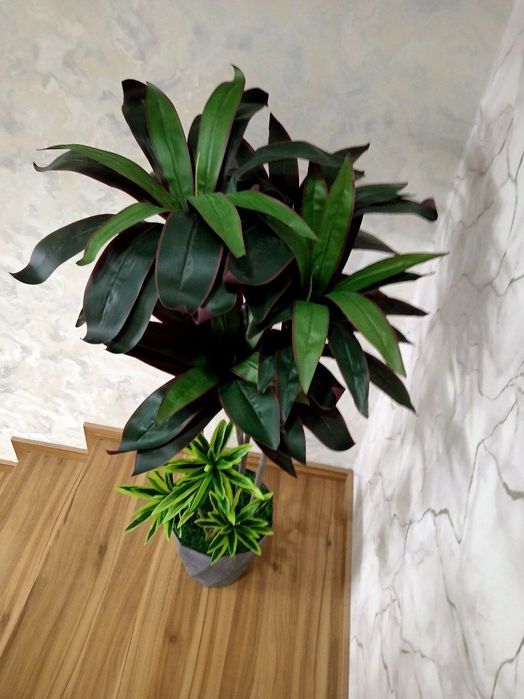 Suniy gullar. Искусственные цветы Искусственные деревья