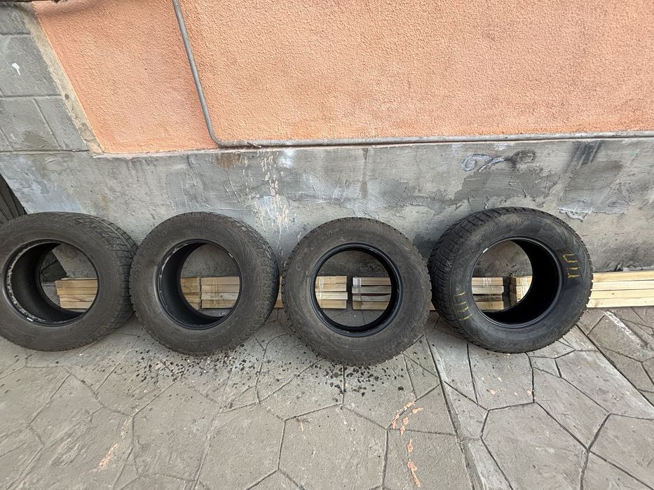 LingLong GreenMax Winter