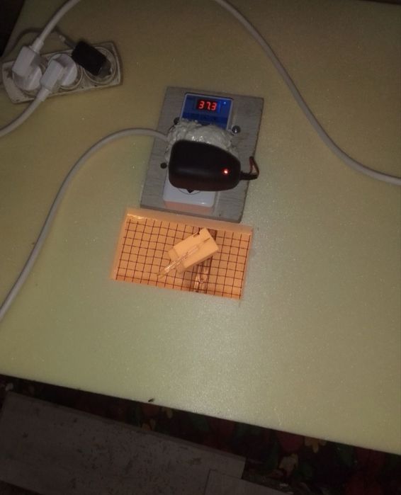 Инкубатор для яицо